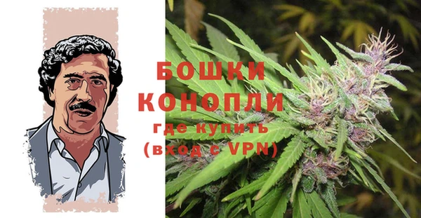сатива Абинск