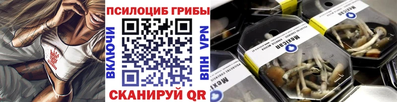 блэк спрут рабочий сайт  Кашин  Галлюциногенные грибы мухоморы  сколько стоит 